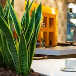 Palacio De Aiete 4*